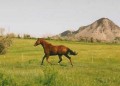 Foxfyre's picture